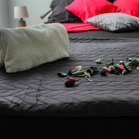 Alex - Two Bedroom Apartman